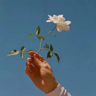 风之纪元单机版下载