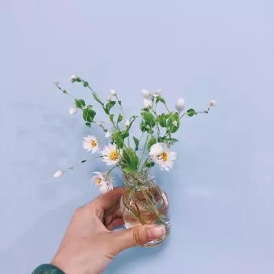 萝莉养成计划满v版下载